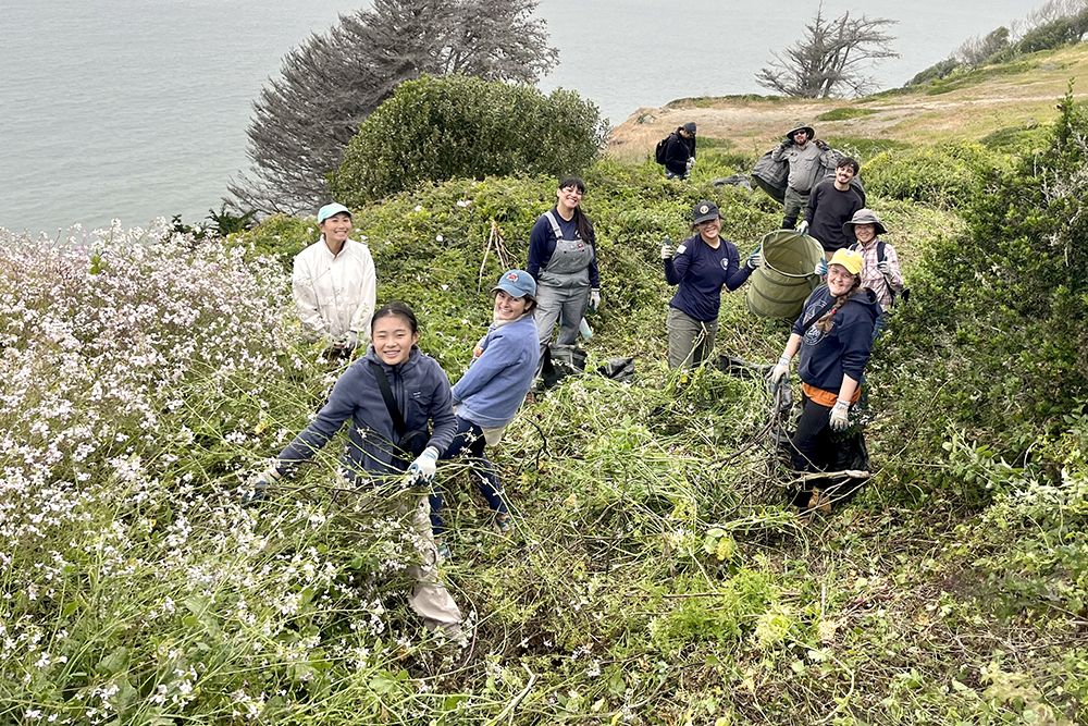 People standing in brush